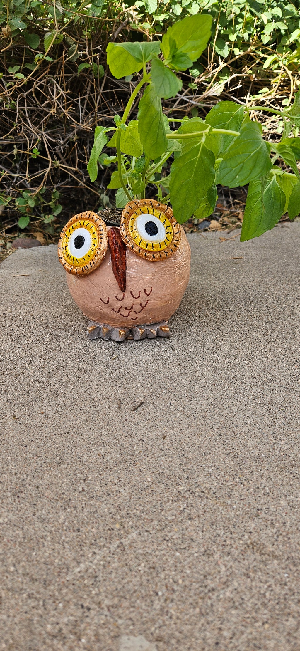 Owl Herb Planter