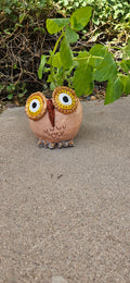 Owl Herb Planter